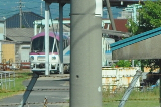 CSC_0471.JPG